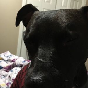 Meet your Posher, Kaitlyn